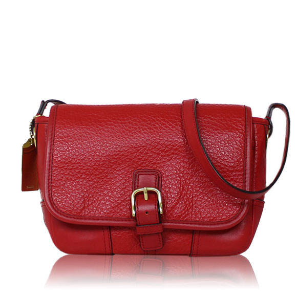 COACH ショルダーバッグ 19&nbsp;x16&nbsp;x6cm(幅&nbsp;x 高さ&nbsp;x マチ)