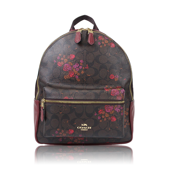 COACH バッグパック 25 x30 x10cm(幅 x 高さ x マチ)