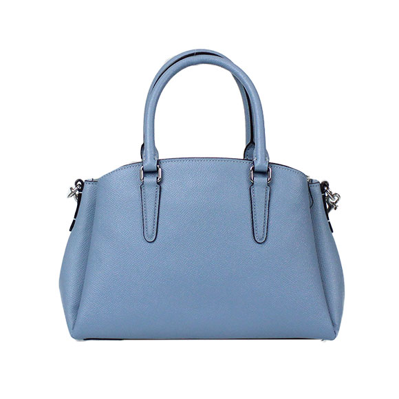 新品 コーチ COACH ハンドバッグ ミニ セージ キャリーオール