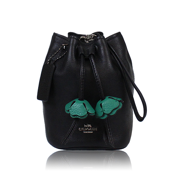 COACH ハンドバッグ 13 x16 x13cm(幅 x 高さ x マチ)