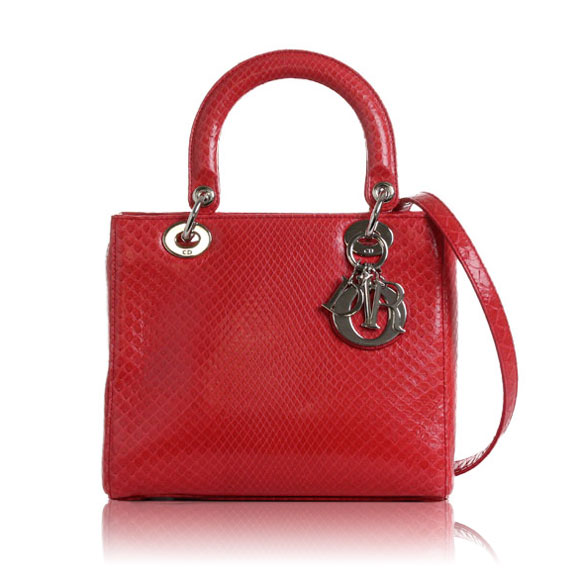 Dior レディディオール 24 x20 x11cm(幅 x 高さ x マチ)