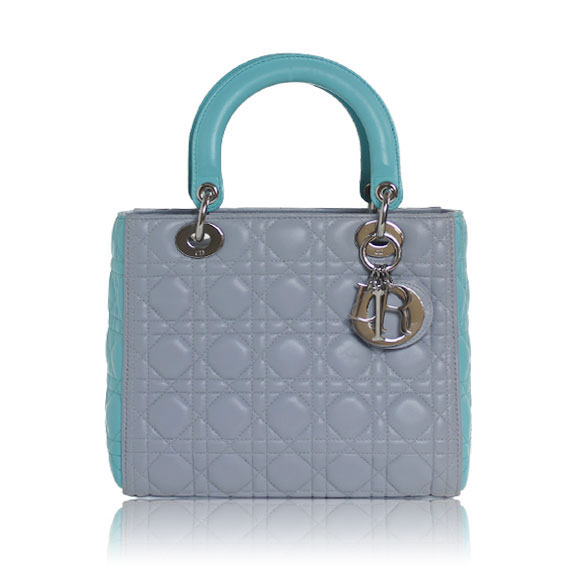 Dior レディディオール 