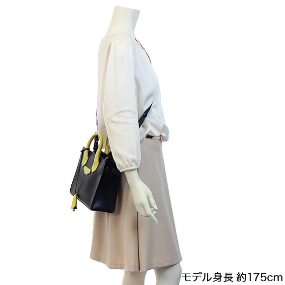 BALENCIAGA(バレンシアガ)ミニオールアフタヌーン | 商品詳細