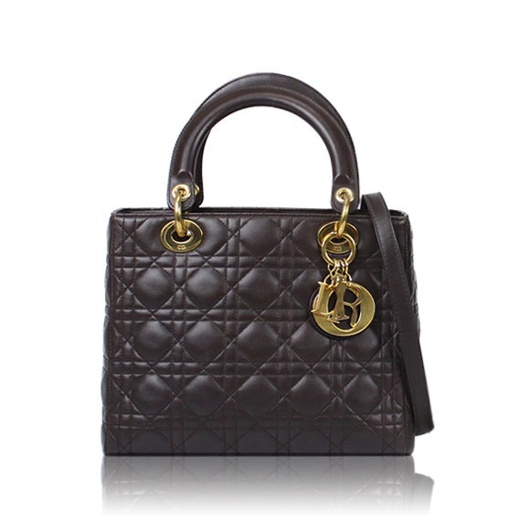 Dior レディディオール 24 x20 x11cm(幅 x 高さ x マチ)