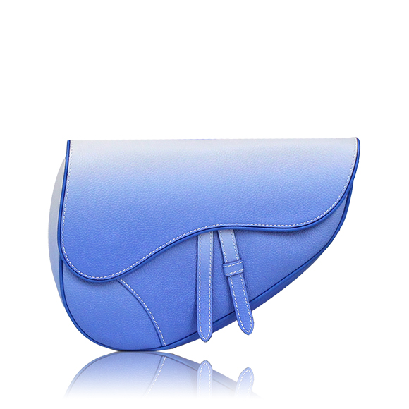 Dior サドルバッグ 27 x19 x4cm(幅 x 高さ x マチ)
