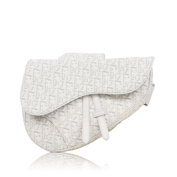 Dior サドルバッグ 25 x20 x4cm(幅 x 高さ x マチ)