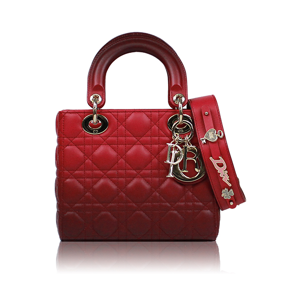 Dior レディディオール 20&nbsp;x17&nbsp;x8cm(幅&nbsp;x 高さ&nbsp;x マチ)