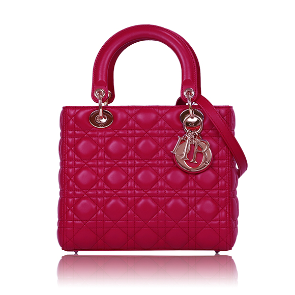 Dior レディディオール 24&nbsp;x20&nbsp;x11cm(幅&nbsp;x 高さ&nbsp;x マチ)