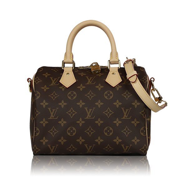 LOUIS VUITTON スピーディバンドリエール 25 