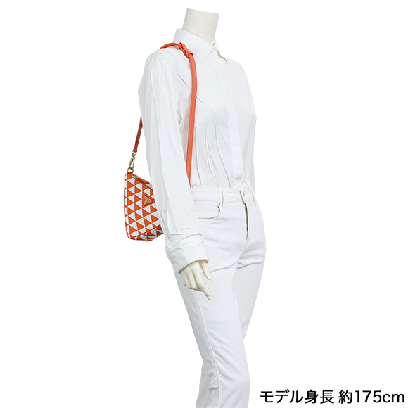 エンブロイダリージャカードファブリックミニバッグ