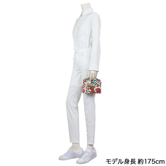 GGミニショルダーバッグ